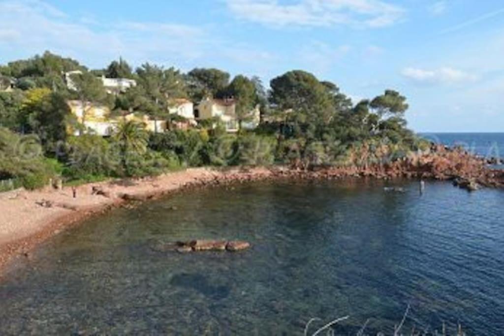 Appartement L'Evasion, Vue Mer, Plages A Pied Frejus Bagian luar foto